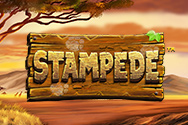 Stampede slot